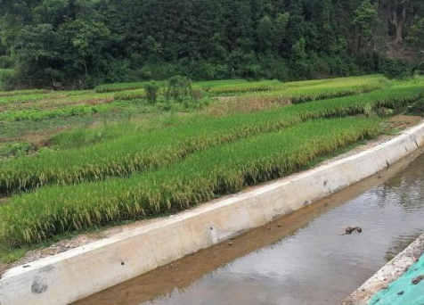 广西今年拟实施304座小型病险水库除险加固